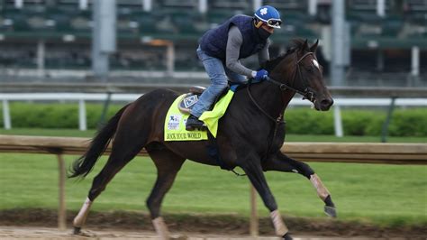 kentucky derby bets superfecta